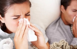 TÁC DỤNG CỦA YẾN SÀO VỚI BỆNH LÝ ĐƯỜNG HÔ HẤP